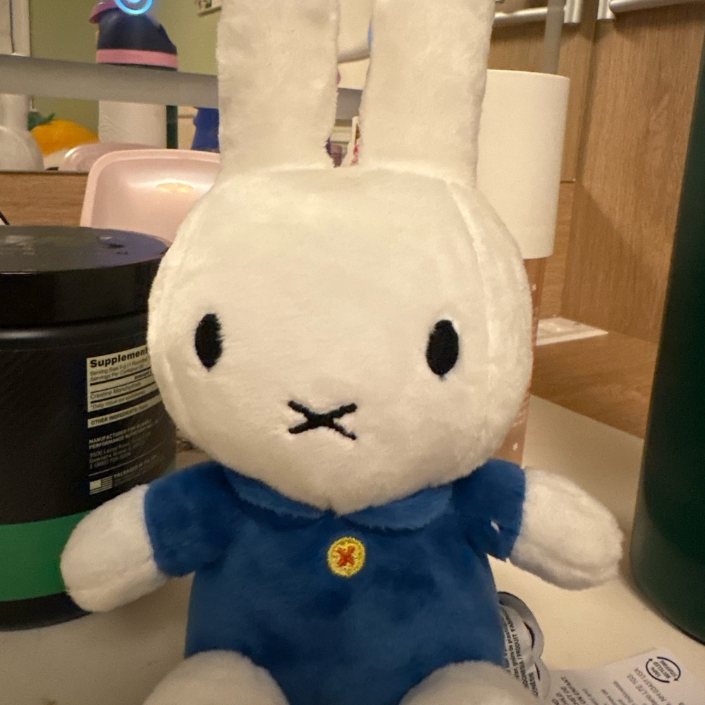 Blue and White Plush Bunny Toy